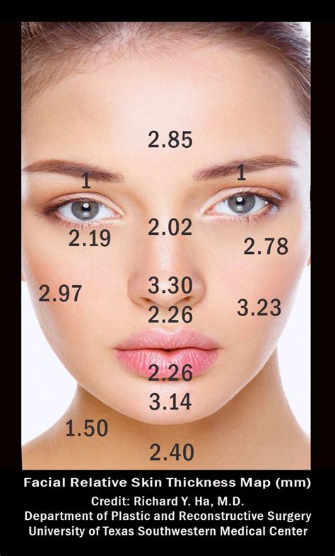 skin thickness on face